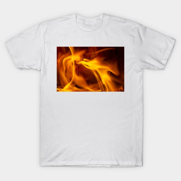 Flight Of The Firelight T-Shirt by becky-titus